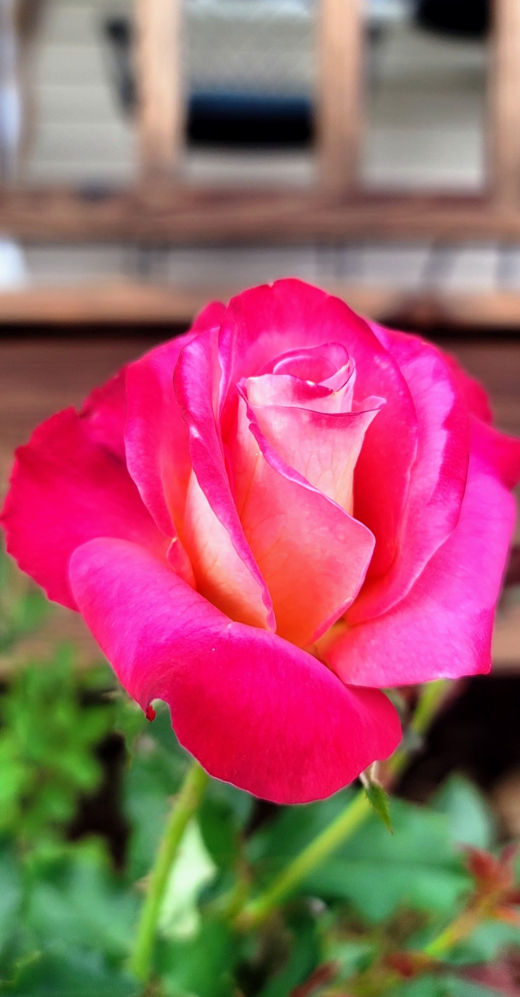 My Name is&nbsp;Laura